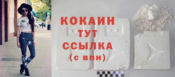 спайс Гусев
