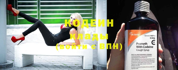 твердый Пересвет