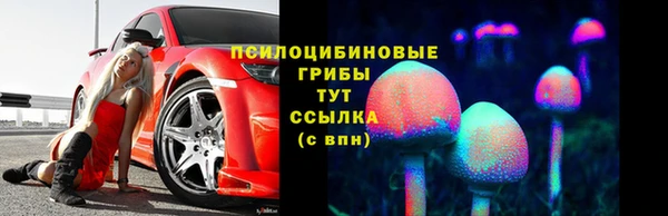 дмт Гусь-Хрустальный