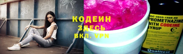 спайс Гусев
