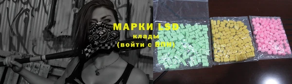 спайс Гусев