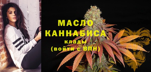 дмт Гусь-Хрустальный