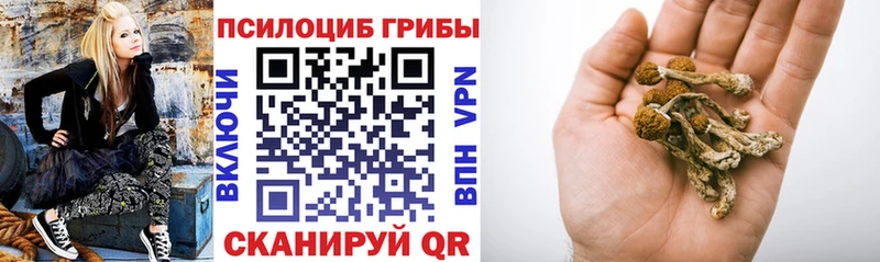 Псилоцибиновые грибы ЛСД Неман