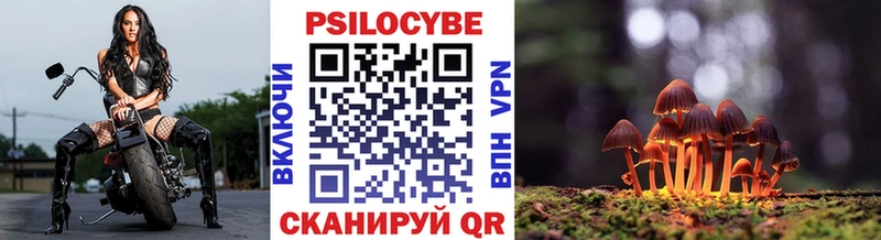 Купить  Неман  Псилоцибиновые грибы мицелий 